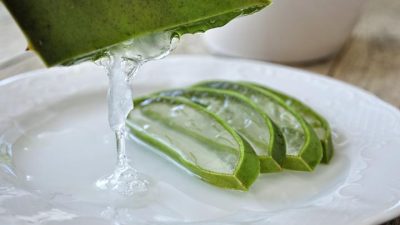 Kekuatan Ilmu Pengetahuan di Balik Keamanan Aloe Vera