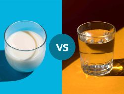 Is Milk a Better Hydration Source Than Water?