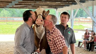 Kiss a Cow Event Raises K for ALICE Families in Lewis County
