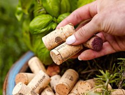 7 Simple Garden Hacks for Repurposed Wine Corks