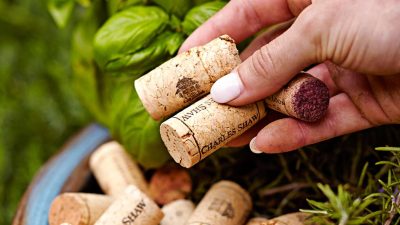 7 Simple Garden Hacks for Repurposed Wine Corks