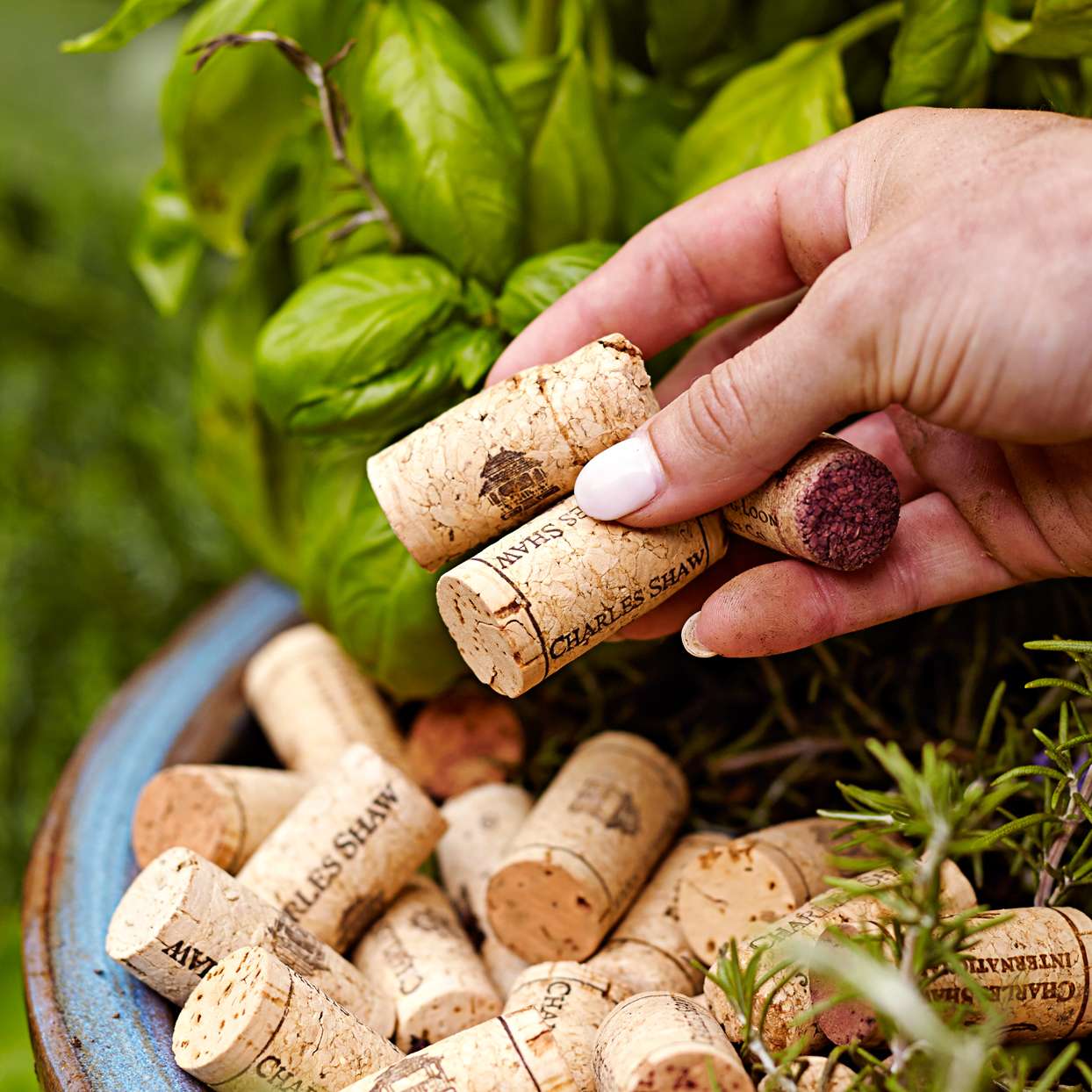 7 Simple Garden Hacks for Repurposed Wine Corks