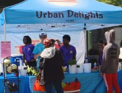 Urban Delight Lets Teens Grow Plants in Syracuse