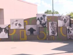 Puppies Discovered in Duffle Bag in East Wichita, One Lost Life Puppies Discovered in Duffle Bag in East Wichita, One Lost Life