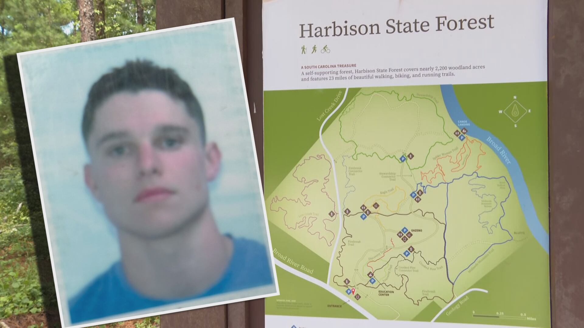 New Update on Dog Attacks in South Carolina State Forest