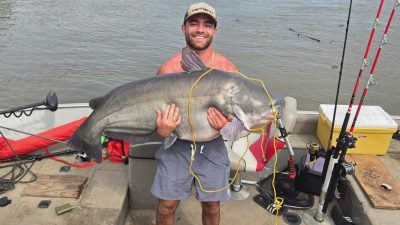 86-Pound Monster Catfish Caught in River
