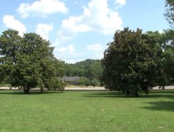 Residents Launch Petition Against Covenant Relocation
