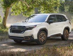 What Are the Downsides of a Subaru Forester? Pros and Cons Revealed