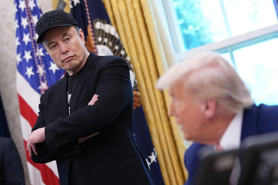 Musk Exposed Trump in Epstein Files, Then Taunted Him Nonstop