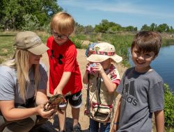Wildlife Viewing Grants Now Open for Applications
