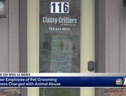 Ex-Beauty Shop Employee Faces Animal Cruelty Charges in Iredell County Ex-Beauty Shop Employee Faces Animal Cruelty Charges in Iredell County