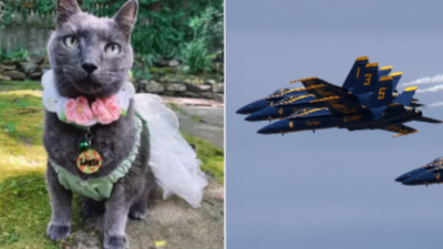 Woman Sues Blue Angels Over Jet Noise Traumatizing Her Dying Cat