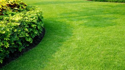 5 Ways to Keep Your Lawn Green in Hot Weather