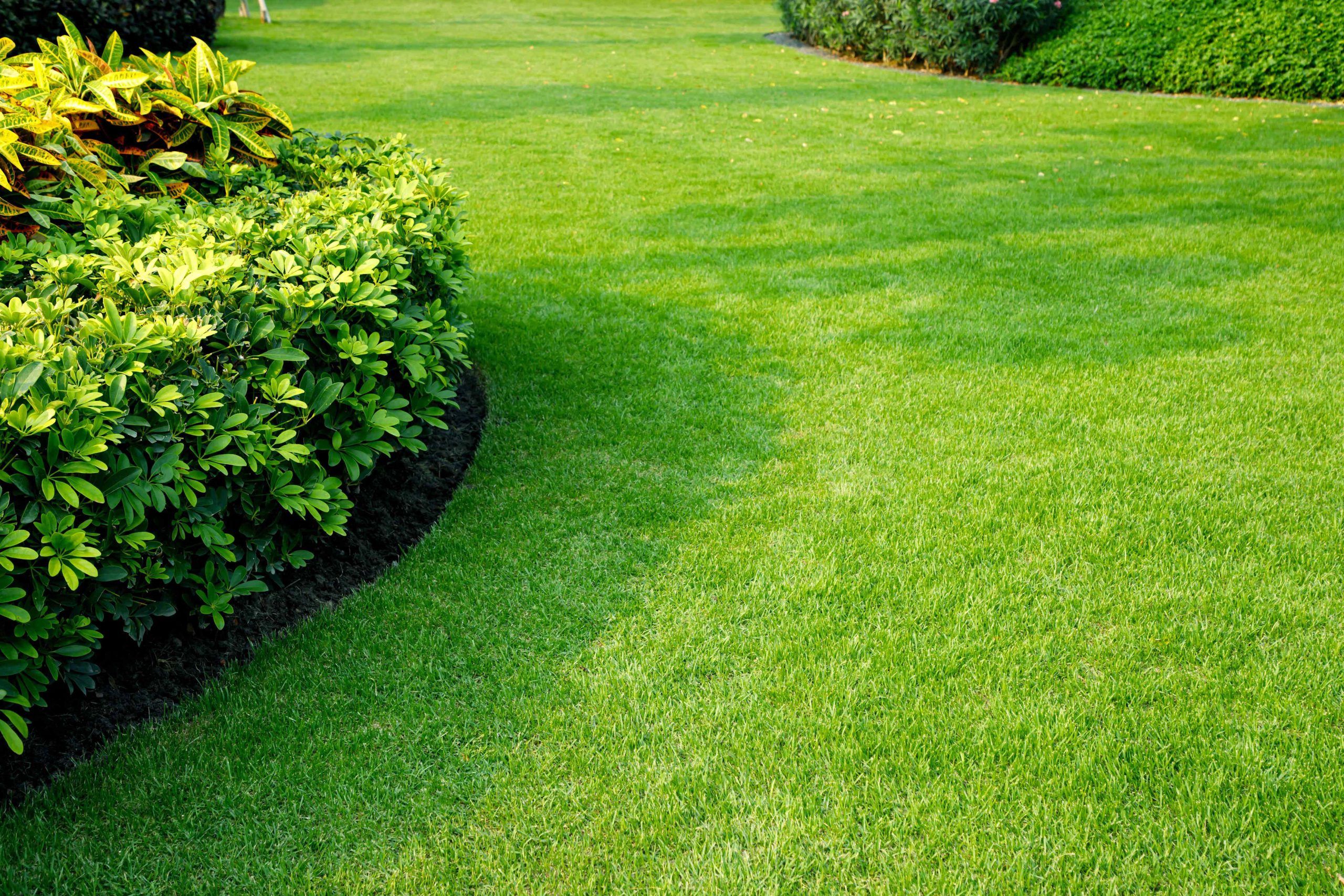 5 Ways to Keep Your Lawn Green in Hot Weather
