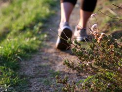 Weber Road Trail Project Moves Forward