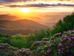 Small-Town Escapes Rise: Why Americans Love Asheville and Santa Fe