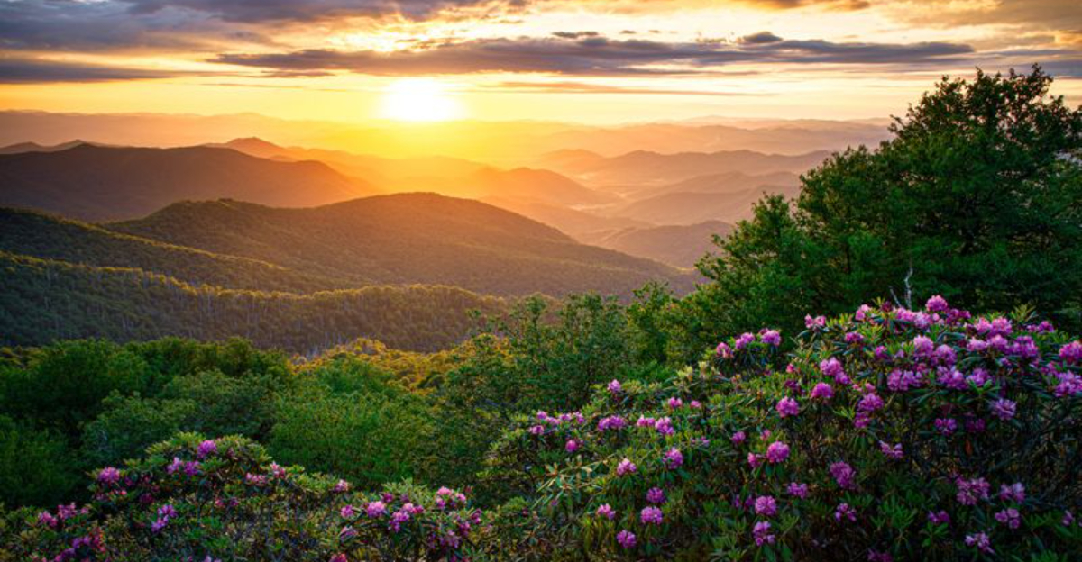 Small-Town Escapes Rise: Why Americans Love Asheville and Santa Fe