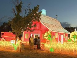 Chinese Lanterns Illuminate Denver Park