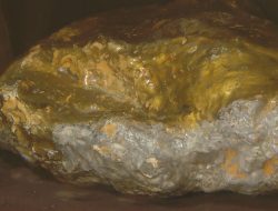 First Gold Found in North Carolina, Not California