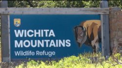 Wichita Mountain Hiking Hours Limited by Extreme Heat