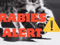 First Rabies Case Confirmed in Franklin County This Season