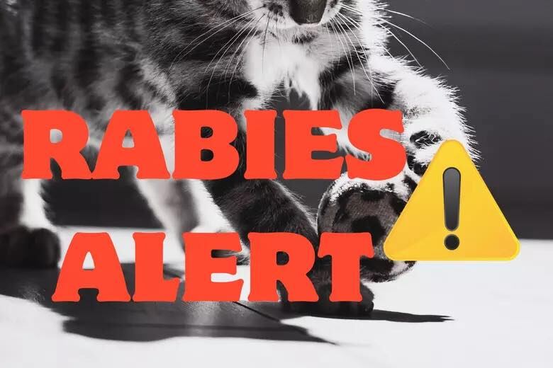 First Rabies Case Confirmed in Franklin County This Season
