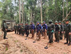 11 Killed in Cross-Border Fire Between Thailand and Cambodia
