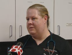Protect Pets from Heat in Indianapolis