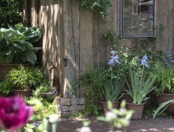 Garden under siege? Experts reveal a trick to stop ground squirrels in their tracks Garden under siege? Experts reveal a trick to stop ground squirrels in their tracks