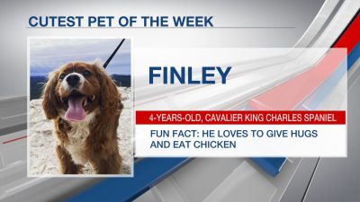Cute Pet of the Week: Finley
