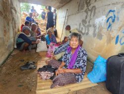12 Killed in Escalating Thailand-Cambodia Border Violence