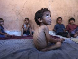 Israel’s War on Gaza: Starving, Isolated, and Hunted