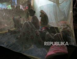 Kamboja Minta Gencatan Senjata Segera dengan Thailand