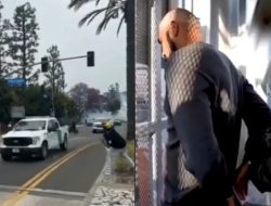 ‘Happy development’ as ‘miscreant’ who attacked a federal officer arrested at US-Mexico border