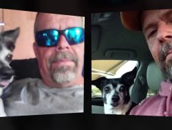 Phoenix Family Seeks Justice After Dad’s Death, Searches for Lost Dog