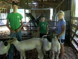 Cook’s Fort 4-H Club Leverages WV State Fair for Key Learning Opportunity Cook’s Fort 4-H Club Leverages WV State Fair for Key Learning Opportunity