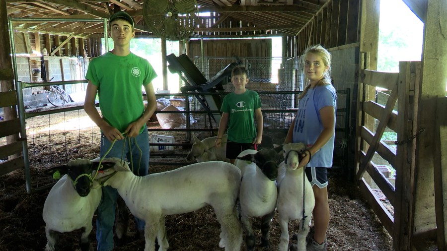 Cook’s Fort 4-H Club Leverages WV State Fair for Key Learning Opportunity