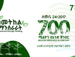 Ethiopia Aims to Plant 700 Million Trees in One Day