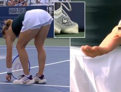 The bizarre moment tennis star saves a bug – only to see it squashed The bizarre moment tennis star saves a bug – only to see it squashed