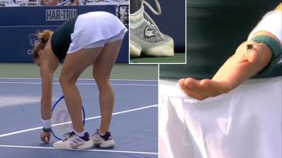 The bizarre moment tennis star saves a bug – only to see it squashed