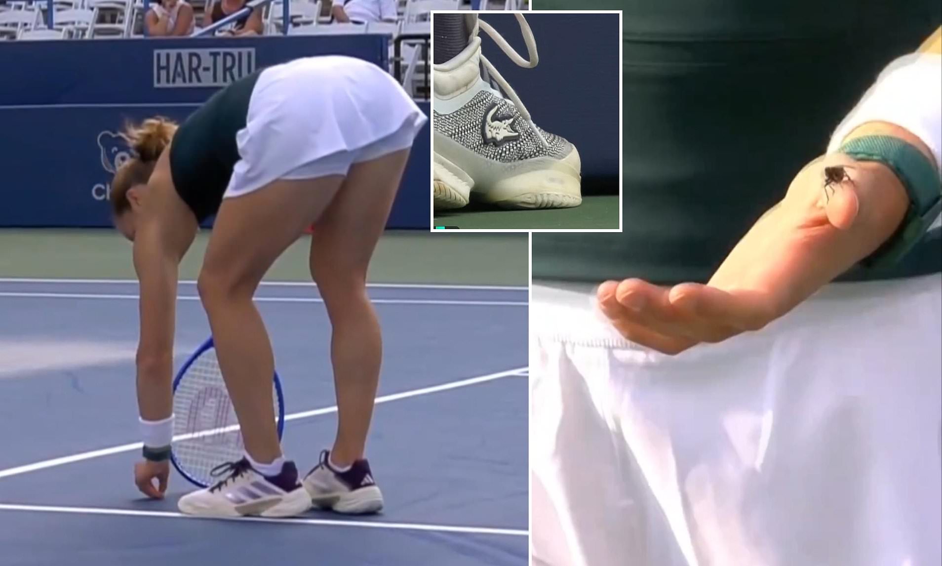 The bizarre moment tennis star saves a bug – only to see it squashed