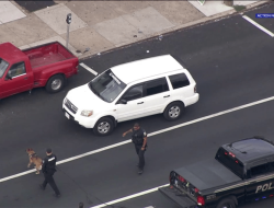 Woman Guilty in Upper Darby Carjacking and Shooting Case