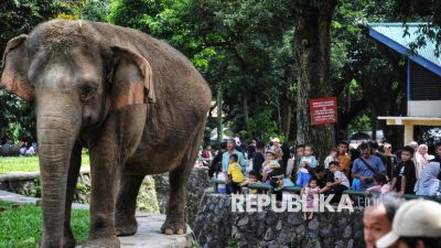 Ragunan Direvitalisasi, Rano Karno Usulkan Kereta Gantung