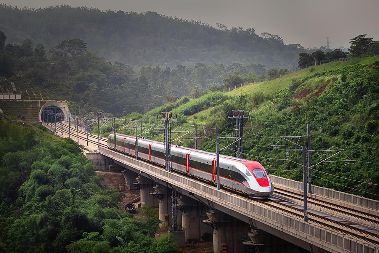10 Kura-Kura Tertabrak Sejak Awal 2025