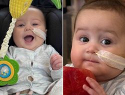 Doctors dismissed newborn’s grunts as normal – now she needs a heart, parents claim Doctors dismissed newborn’s grunts as normal – now she needs a heart, parents claim