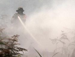 Kebakaran Hutan di Riau: Upaya Modifikasi Cuaca dan Penutupan Kebun Sawit