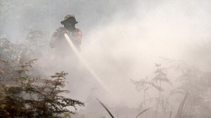 Kebakaran Hutan di Riau: Upaya Modifikasi Cuaca dan Penutupan Kebun Sawit