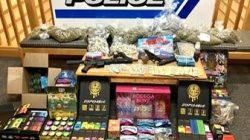 Brothers Arrested in Westfield Drug Probe