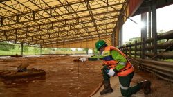 4 Langkah Lindungi Sungai dari Sampah dan Ancaman