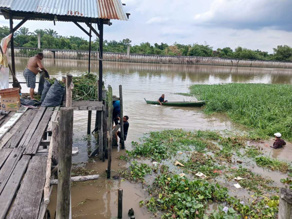 KMPS Bersihkan Sungai Siak dengan Goro